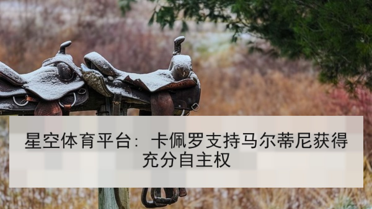 星空体育平台: 卡佩罗支持马尔蒂尼获得充分自主权